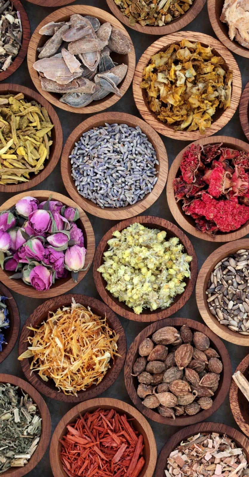 Naturopathy & Wellness Lifestyle